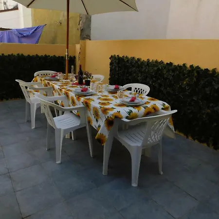 Lilli Elena 维亚雷焦